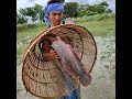 #video #reels #fish #fishing_video #polo_fishing #polo_trap #fishing_video