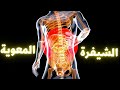سبليمنال علاج القولون العصبي و تنظيف الأمعاء بشكل قطعي سبليمنال علاج القولون العصبي و تنظيف الأمعاء بشكل قطعي