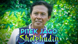 PITEK JAGO ~ SHOLEHUDIN ( Official Music Video )