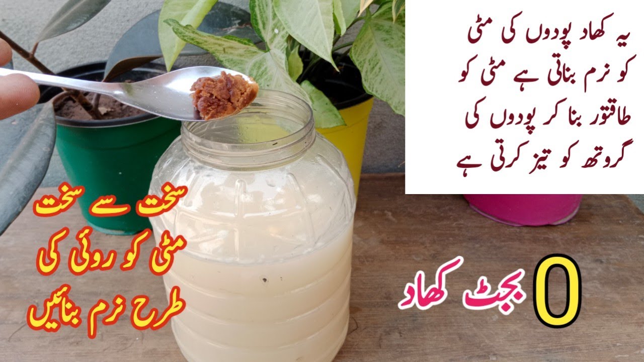 Soil conditioner organic fertilizer || مٹی کو نرم بنانے والی کھاد