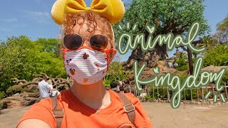 A GIRAFFE BLOCKED THE ROAD ON KILIMANJARO SAFARIS!! | Animal Kingdom | Disney World Vlog