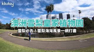 KKday【澳洲旅遊攻略】雪梨皇家植物園，雪梨必去熱門景點