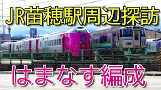 【JR苗穂駅周辺はまなす編成】苗穂ストレート、JR苗穂工場、旧苗穂駅を巡り、特急列車を撮影してきました(^^)