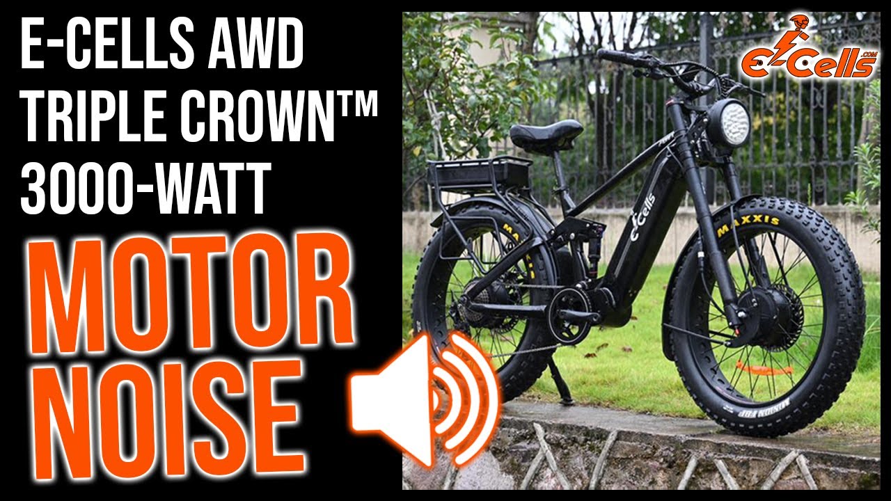 E-CELLS 3000W Triple Crown Motor Noise Explained
