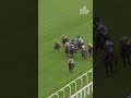 FRANKIE DETTORI: Countdown 2️⃣ #RoyalAscot with CALYX | #Shorts