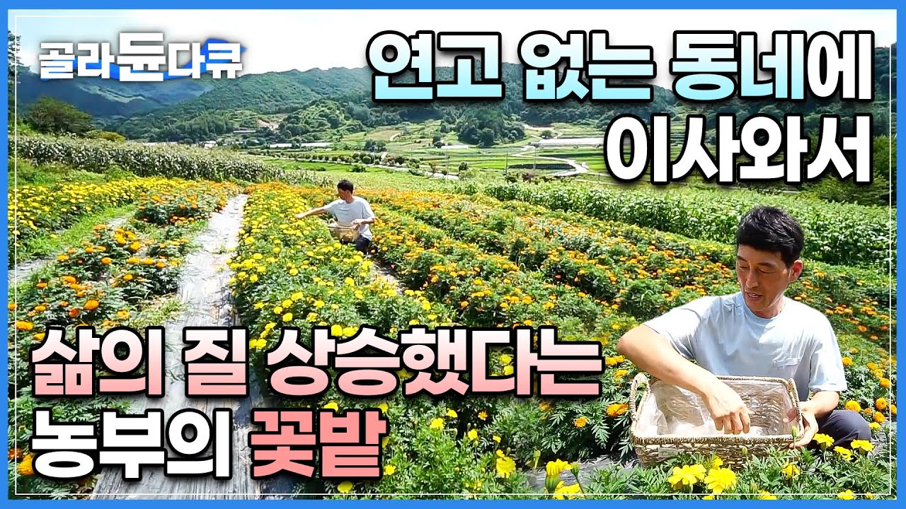농사 짓는게 이렇게 즐겁다고? 도시를 떠나 농부가 되고 삶의 질 상승한 어느 초보 농부가 낯선 동네에서 정착할 수 있었던 이유 ...