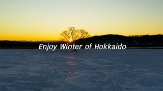 「English」Enjoy Winter of Hokkaido