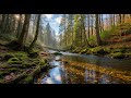 Peaceful Flowing River 🌊 Natural Ambience Sound for Deep Sleep and Stress Relief #776