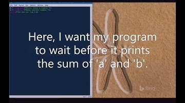 How to make python wait.