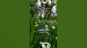 معنى:(قاصرات الطرف)١٦٩-شرح مفردات غريب القرآن ،سورة الرحمن، الشيخ خالد الحرمي.