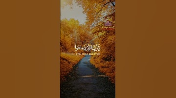 تلاوة خااشعة😍_﴿إن الله وملائكته يصلون على النبي﴾ _ القارئ/ رمضان الطوخي❤️❤️