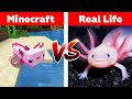 MINECRAFT AXOLOTL IN REAL LIFE! Minecraft vs Real Life animation 2022