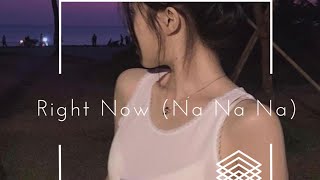 INDRAGERSN - Right Now (Na Na Na) Resimi