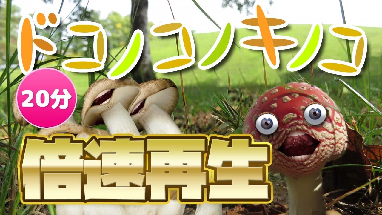 キノコが踊る！ドコノコノキノコ_倍速再生!20分再生!【おかあさんといっしょ】