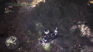 Hunting A Low Rank Radobaan Great Sword