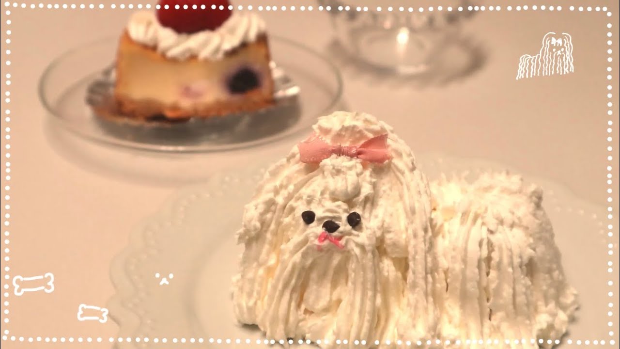 マルチーズケーキ - YouTube