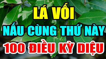 Cảnh Báo: Người Đến Tuổi 50 CỨ UỐNG LÁ VỐI Nấu Cùng THỨ NÀY Chữa Cả Tỷ Bệnh THẦN DƯỢC 100Triệu Đồng
