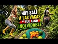 Día de vacas,lodo y aventuras😱 💚