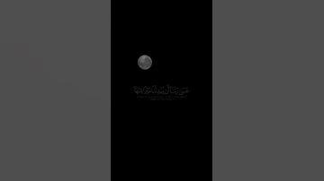 #سورة_القلم بصوت القارئ #اسلام_صبحي