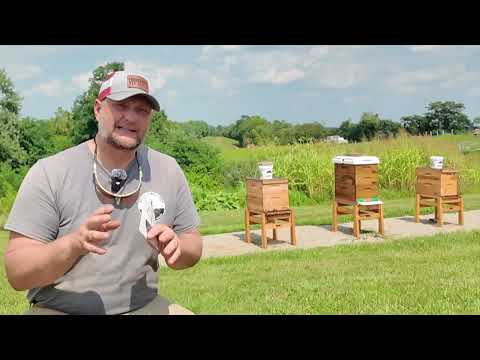 VIRTUAL LEARNING YARD w Q&A FULL VIDEO