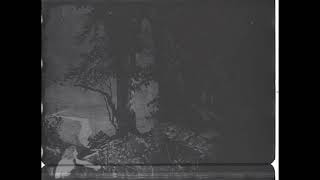 Siegfried Jung Animation  (1918) - English Intertitles