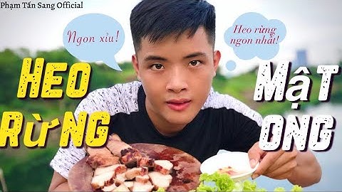Heo rừng nướng mật siêu thơm siêu ngon và câu chuyện bí ẩn khu rừng hồ đá | Phạm Tấn Sang Official