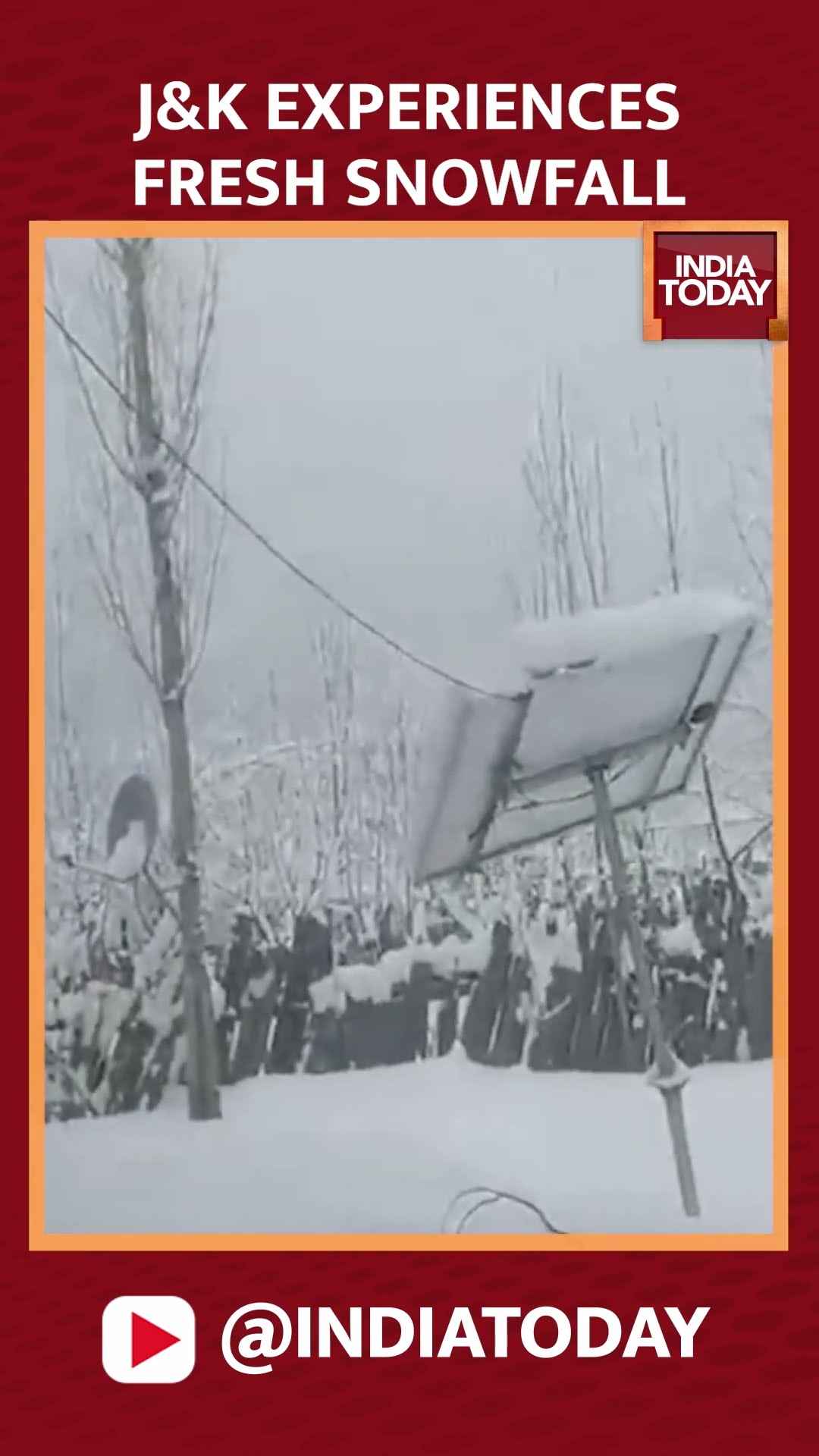 Jammu And Kashmir Experiences Snowfall | Snowfall In Kashmir | #shorts #jammukashmir #kashmir