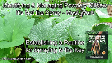 How to Identify & Manage Powdery Mildew: It is About Your Spraying Routine & Not the Spray