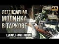Легендарная Мосинка в Таркове • Снайпер в лесу • Escape from Tarkov №22 • 4к60fps