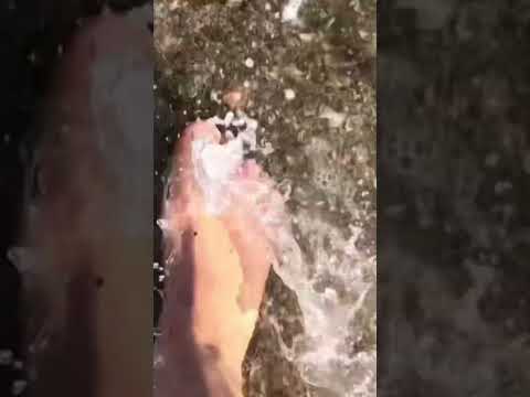to walk on the water along the seashore barefoot