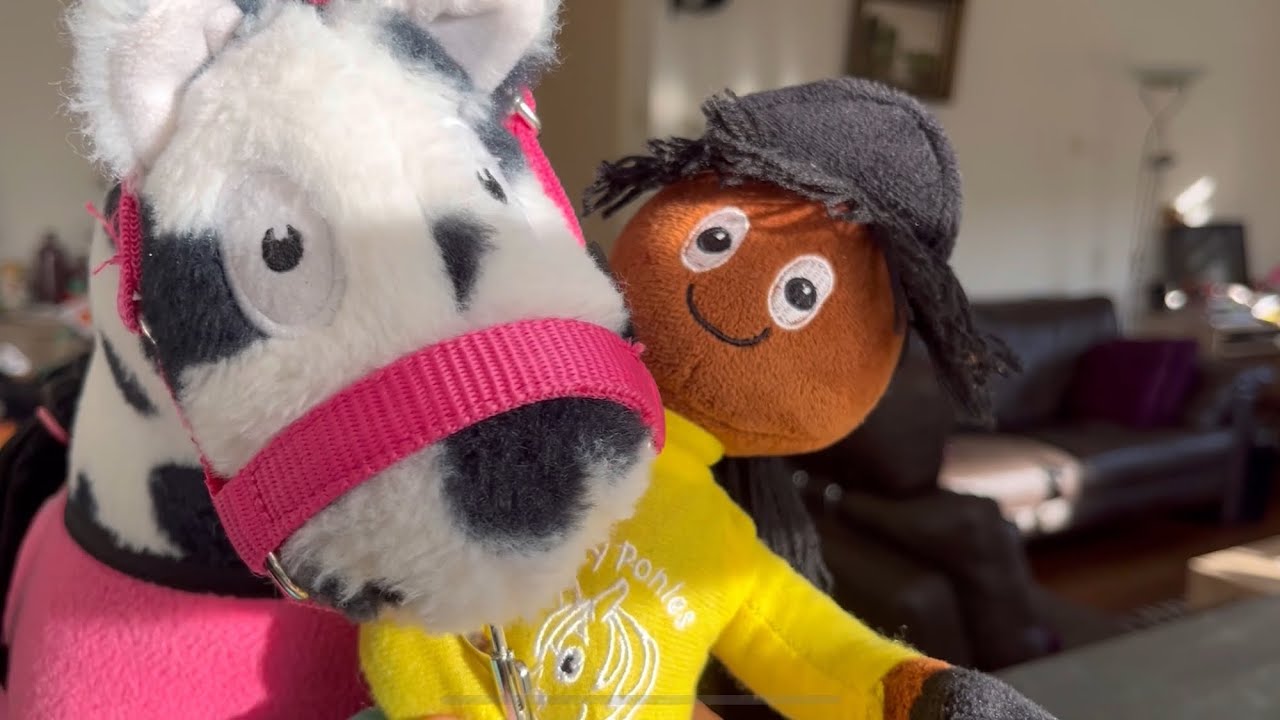 Zo maak je een invlecht in de manen van je paard - Dit is hoe👀 - Crafty Ponies