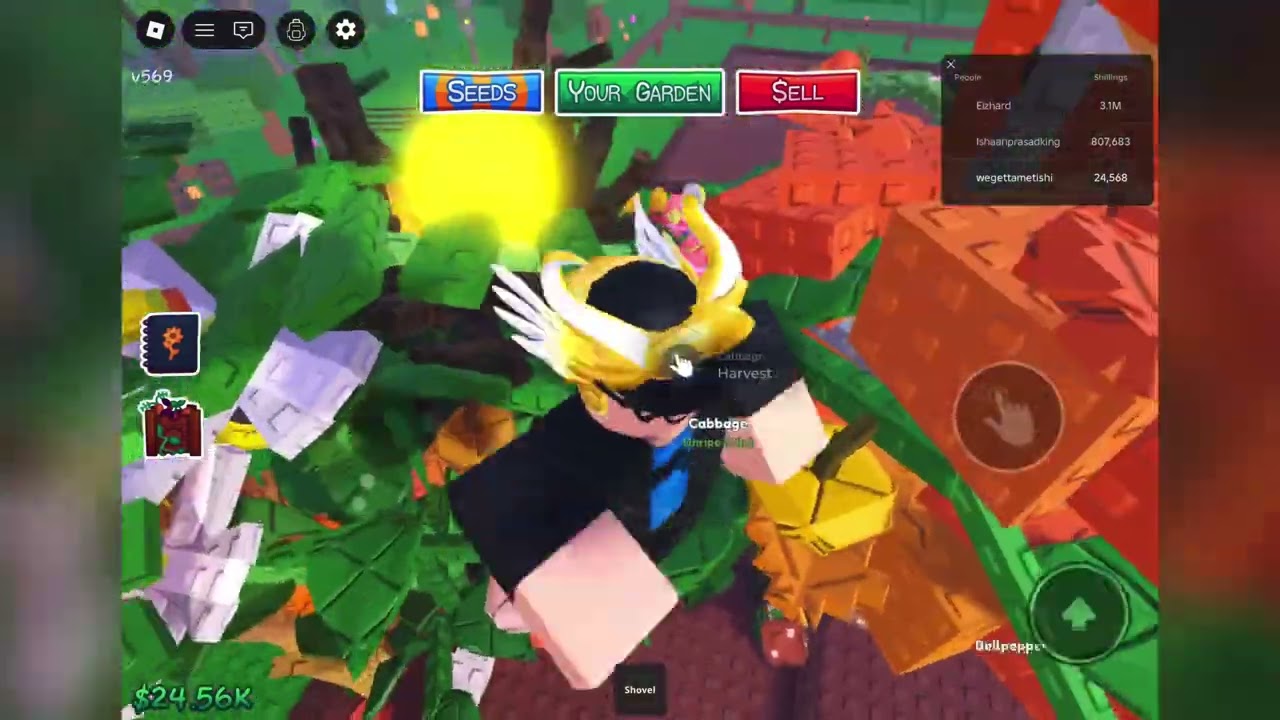 Garden Horizons Garden Reveal