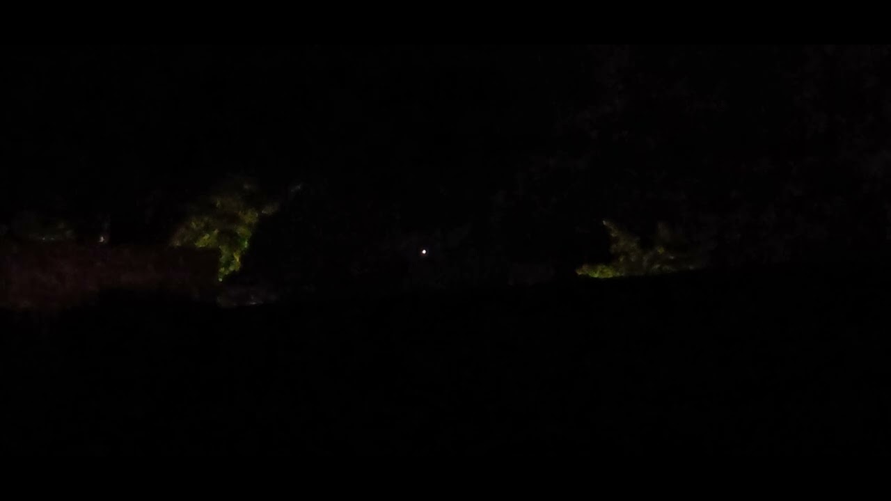 Plasma orb in the treeline 