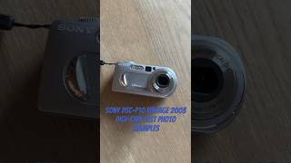 Sony DSC-P10 Vintage 2003 Digi-Cam Test Photos  #digicam #sony #digitalcamera #photography #vintage