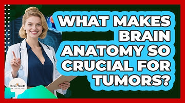 What Makes Brain Anatomy So Crucial For Tumors? - Brain Health Support Network