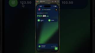 Flutter Wallet Tracker App – MVVM, Riverpod, Hive | DarkMode Overview