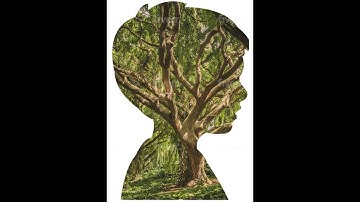 Differentiated Comparative Advantage