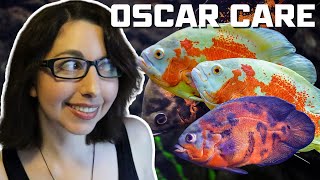 Oscar Fish Care | Oscar Cichlid Beginner Care Guide