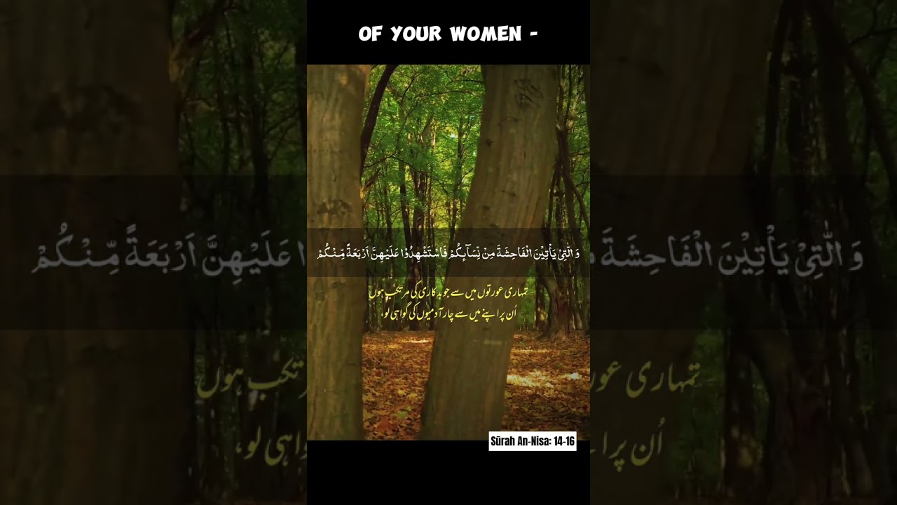 Surah An Nis The Women Verse 14 16 Quran Chapter 4 quran surah-an-nis-the-women-verse-14-16-quran-chapter-4-quran