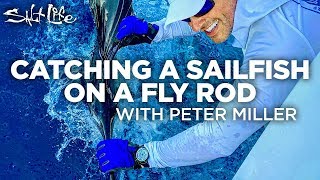 Catching A Sail Fish On A Fly Rod with Peter Miller | Salt Life