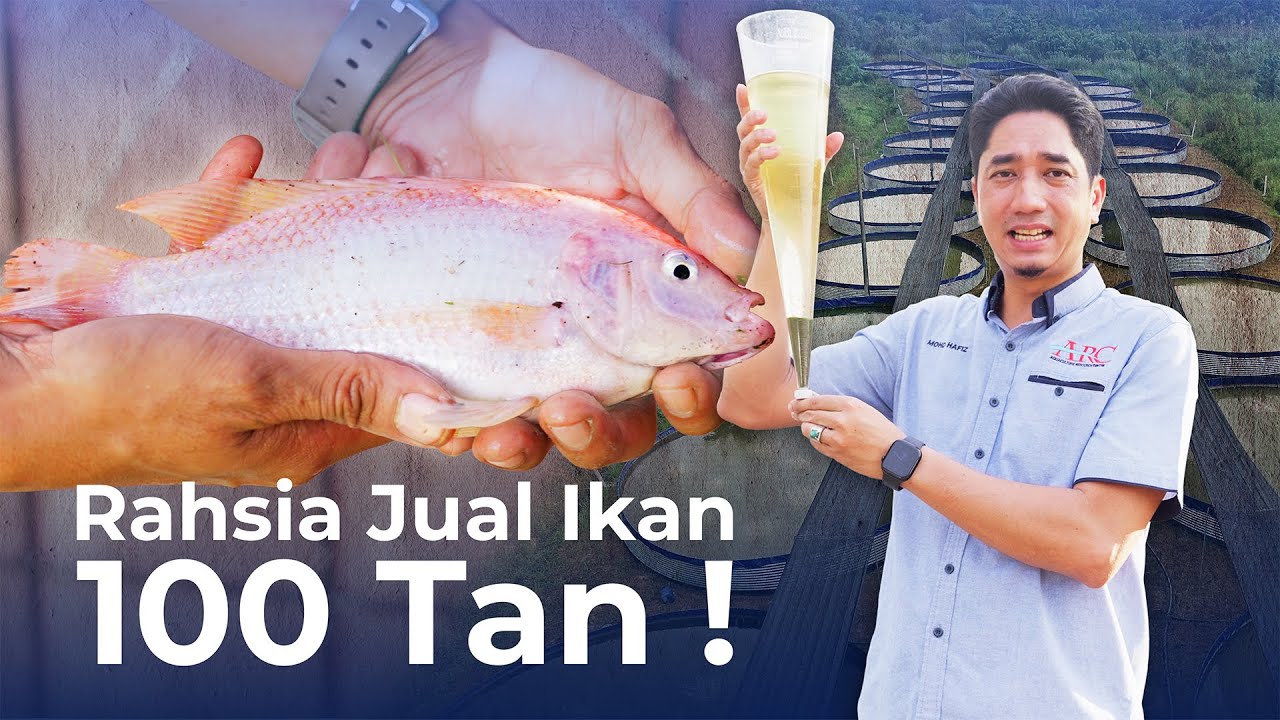4000 Ikan dalam 1 Kolam Guna Teknologi Biofloc | ARC Berkat Agro Food