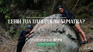 INDONESIA KINI || - Fosil Pohon Purba di Geopark Merangin Jambi Usianya Lebih Tua dari Pulau Sumatra