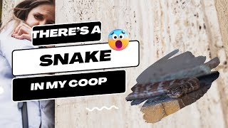 Turning a Chicken Coop into a Snake-proof Fortress