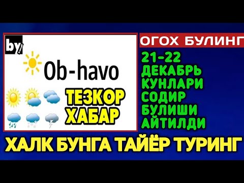 Video: 21 dekabr kuni quyosh to'g'ridan-to'g'ri tepada qayerda?