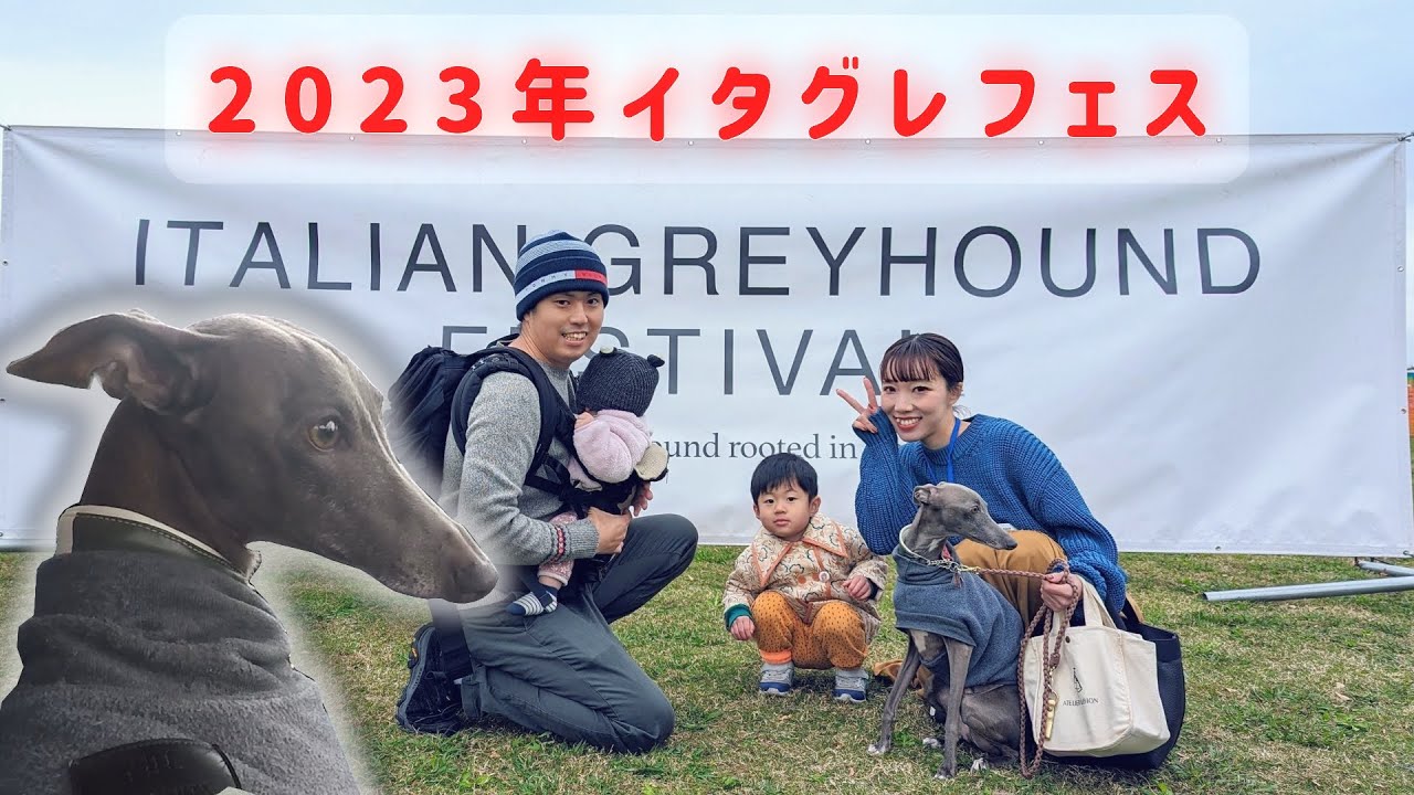 大健闘30m走！イタグレフェス2023 FREEstich主催＠吉見総合運動公園