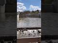Hinckley lake spillway