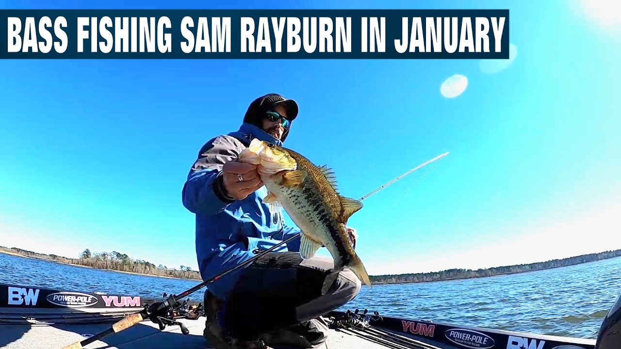 Bass Fishing Sam Rayburn in January – Bass Manager | The Best Bass ...