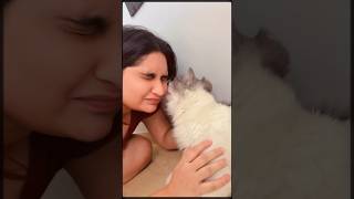 Same Thing But Different Intention  catshorts ytshorts funny comedy viral trending cat