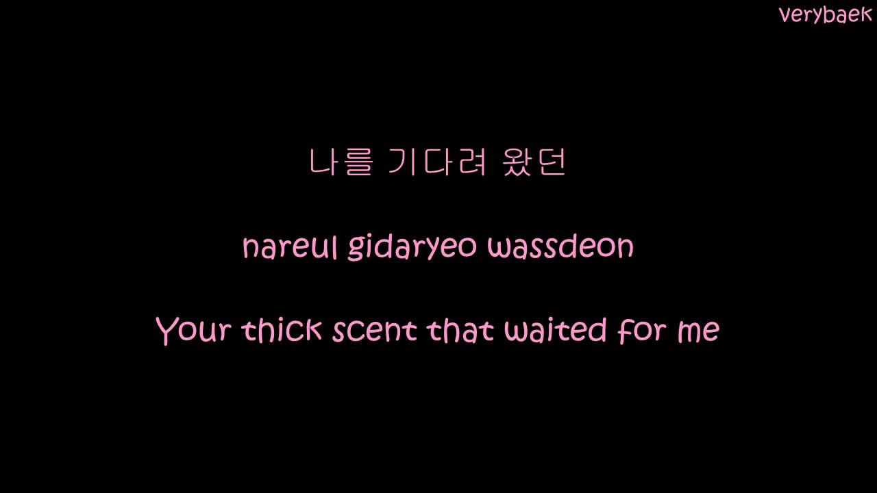 Baekhyun - Beautiful (Ost Exo Next Door) lyric (hangul, romanization