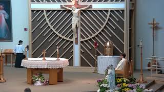 Holy Mass and Special Events at St Stephen the Martyr